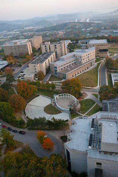 大学 and 学校